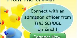 Zinch Ads