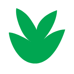 Green cactus shape