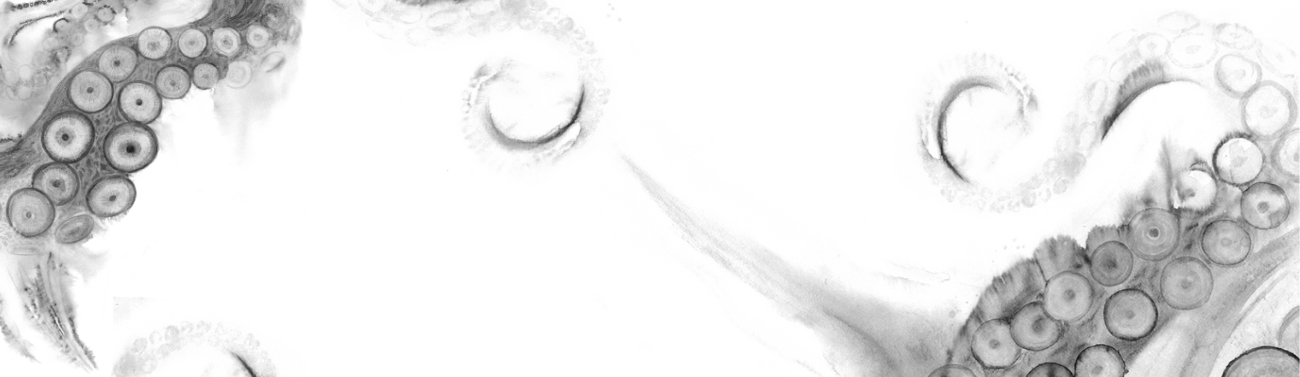 xr:d:DAGCENH1b3Q:54,j:6896561414718102050,t:24041101