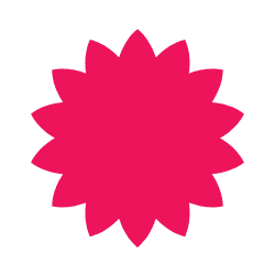 Bloom shape