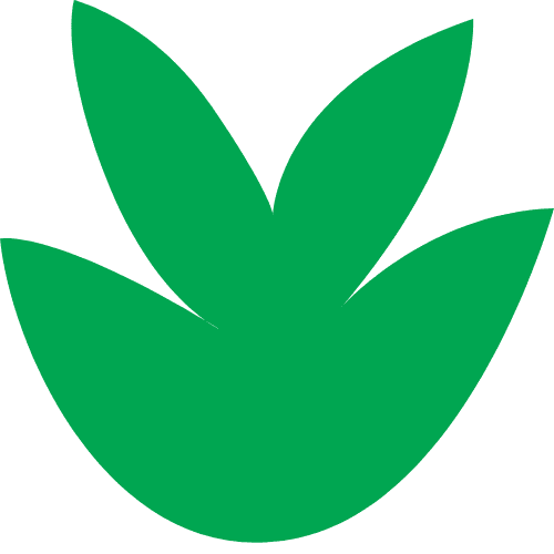 Cactus green