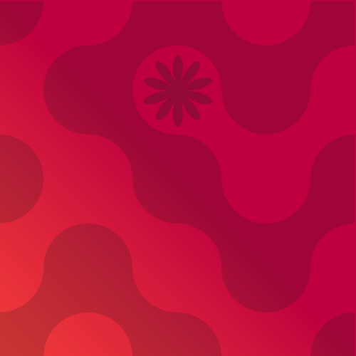 website design in san francisco
